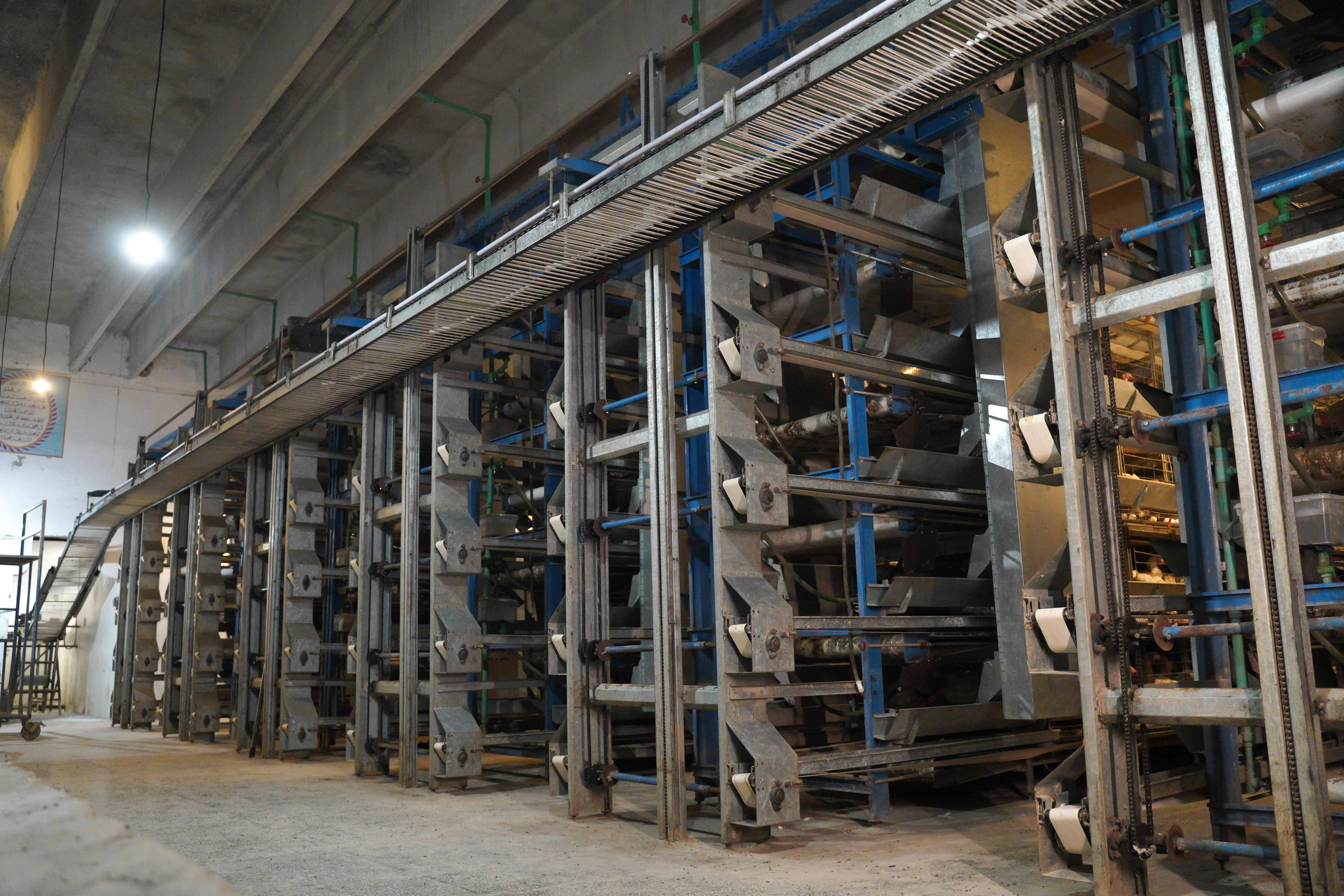 H-Type Egg Handling Machinery