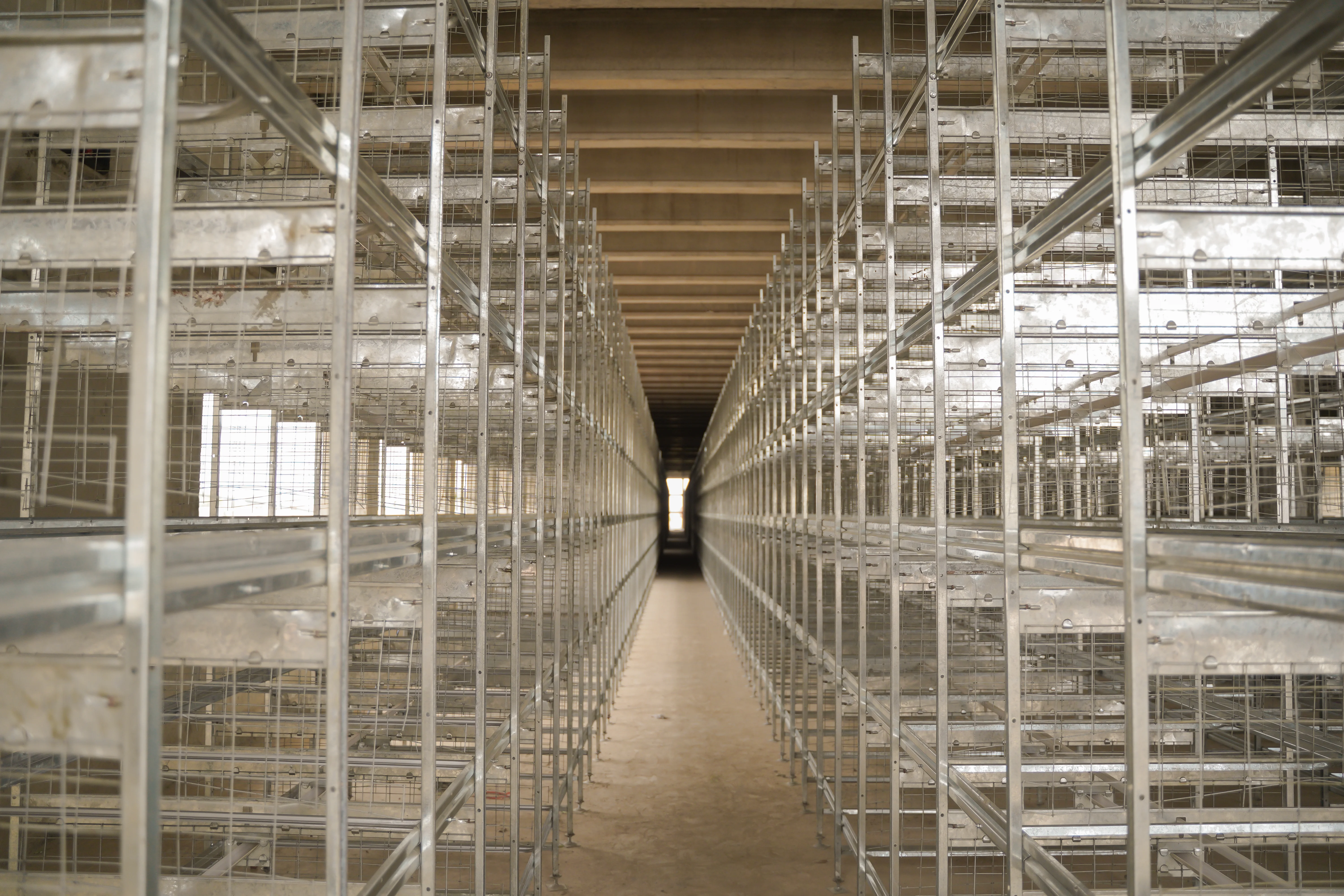 Customised Poultry Equipment Solutions