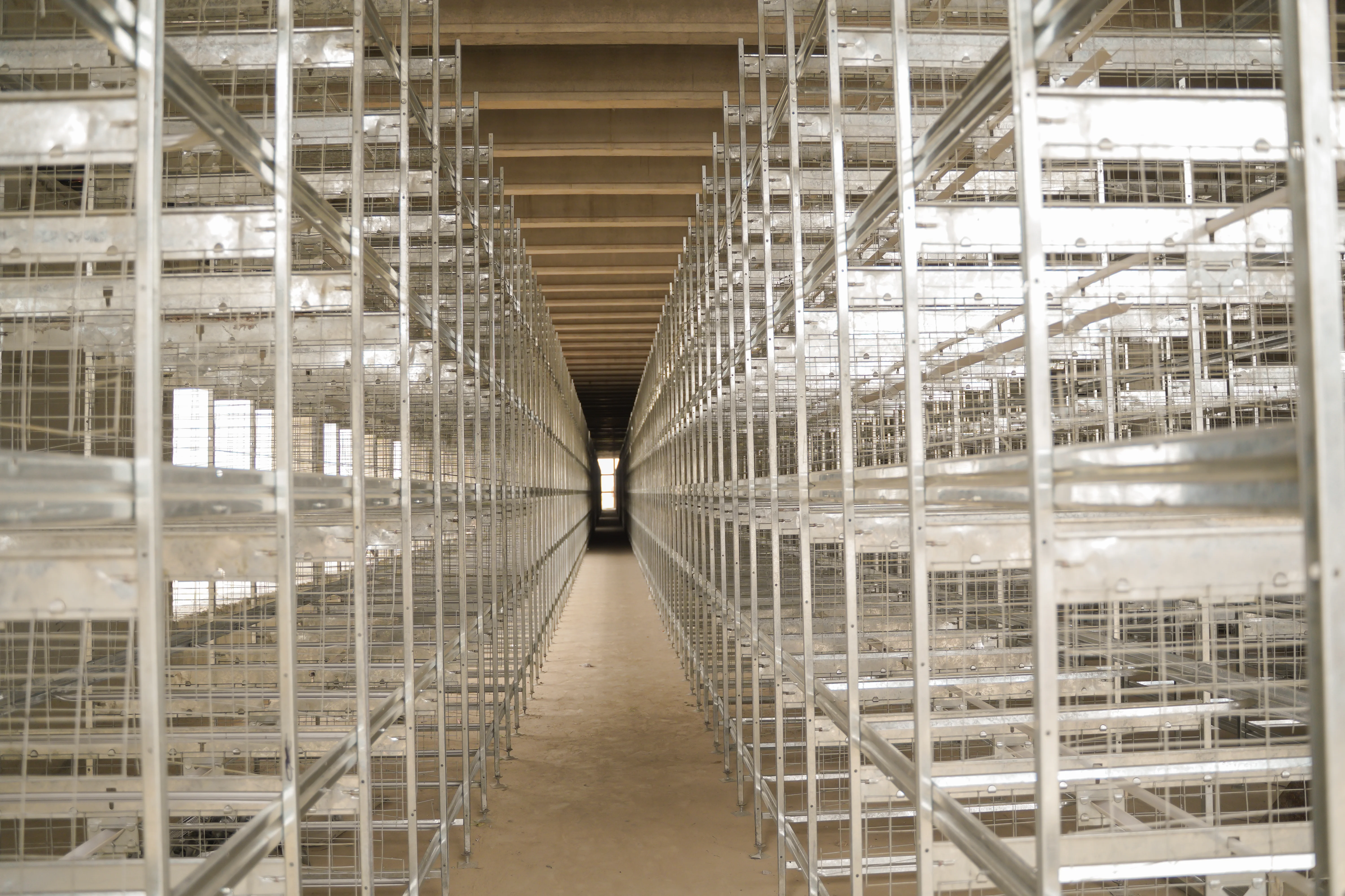 Automated Poultry Complex