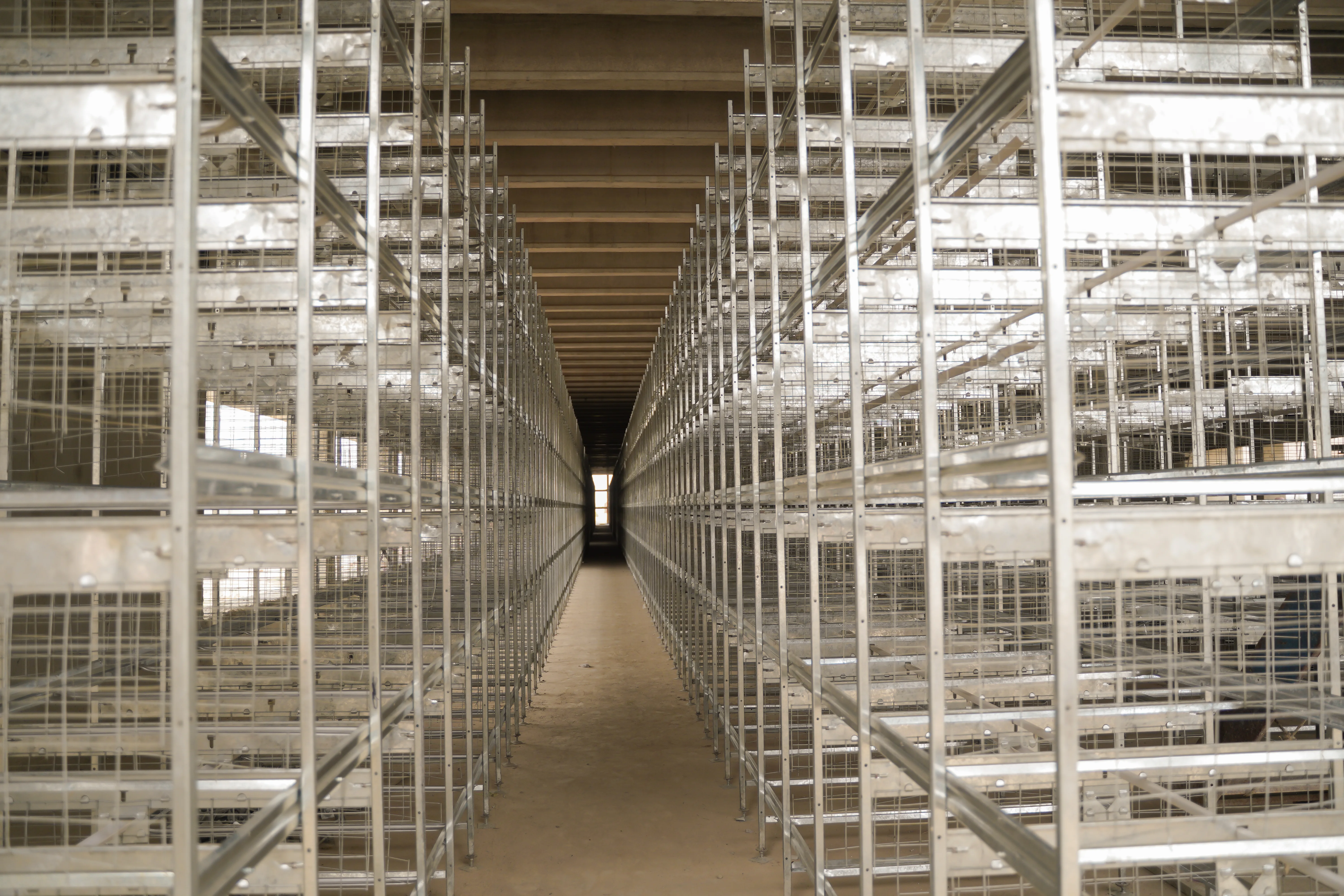 Wide Empty Cage Structure
