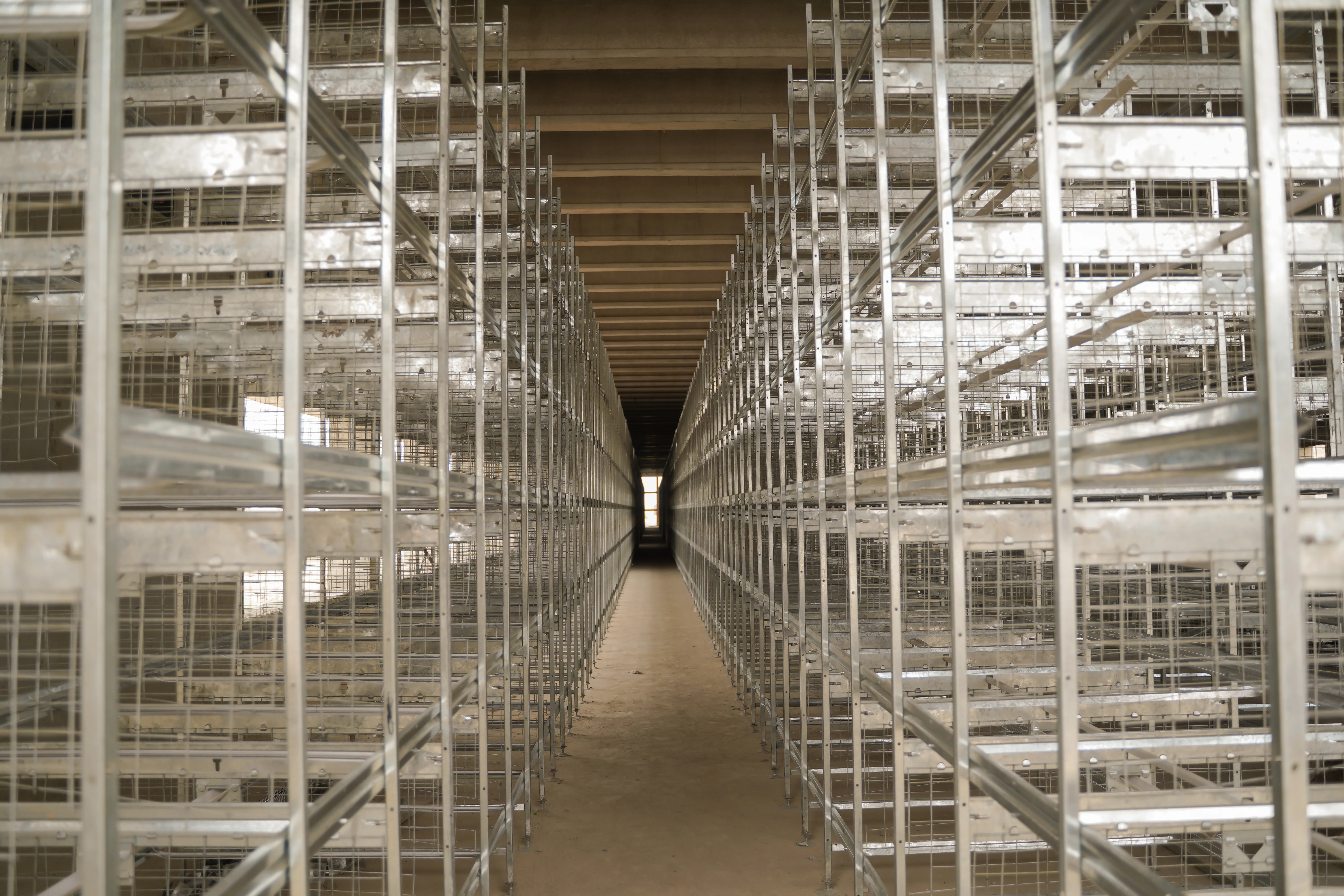 Empty Cage Structure