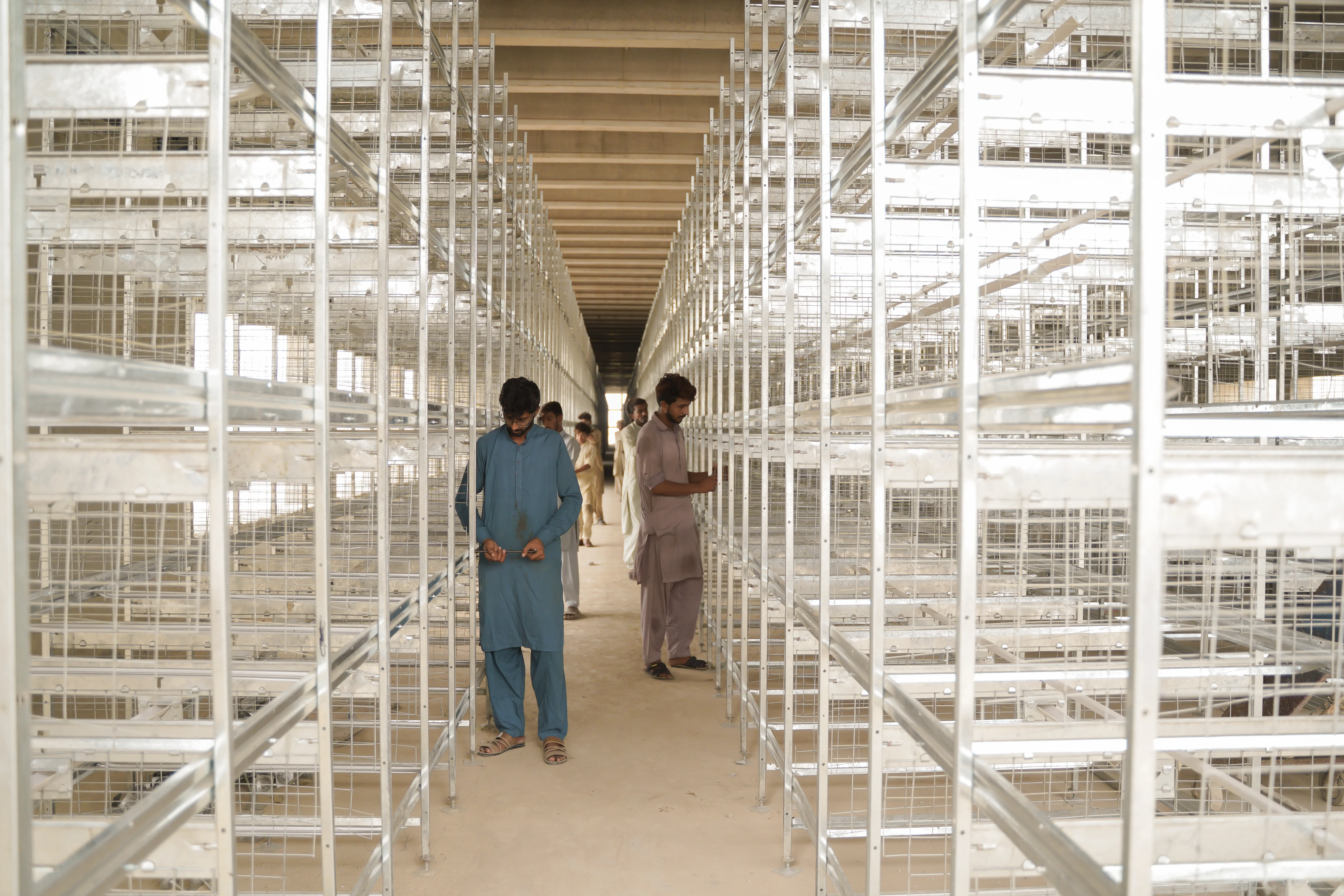 Workers Inside Installed Cage House