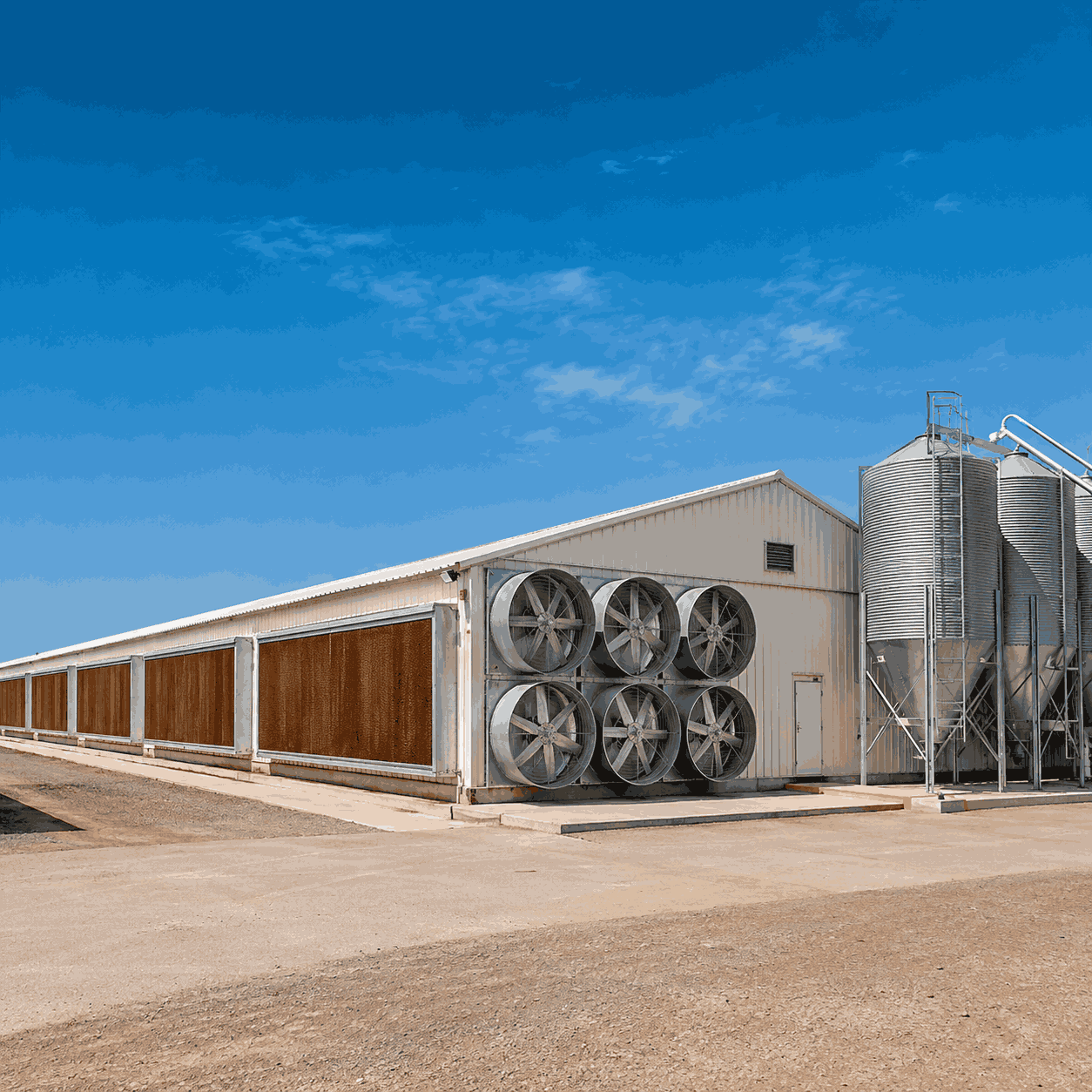 Poultry Climate-Control Upgrade project gallery view 1